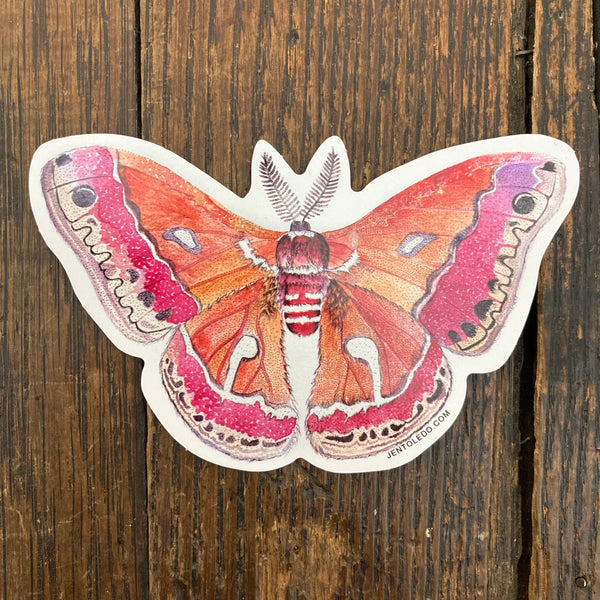 Cecropia Moth Sticker » Pip & Cricket