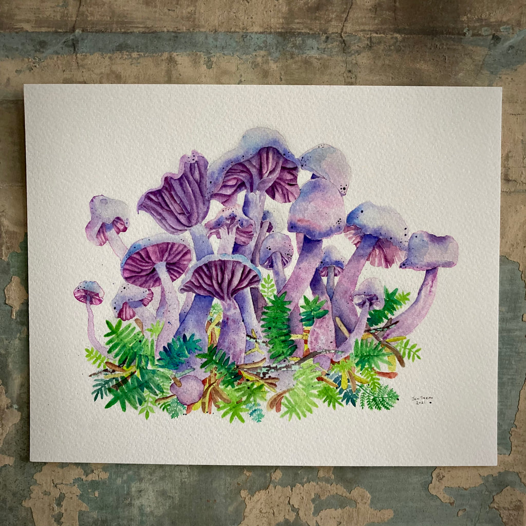 Mushrooms - Print