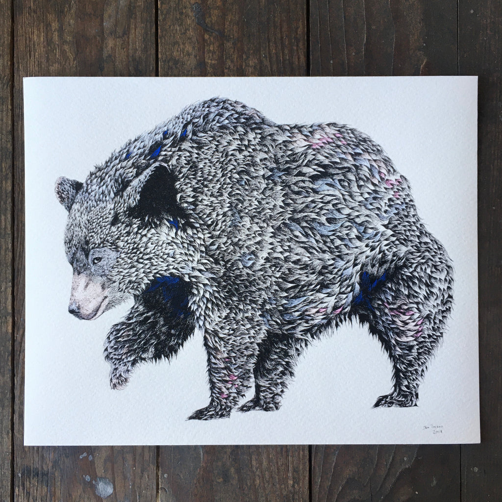 Black Bear Of Panthertown - Archival Print