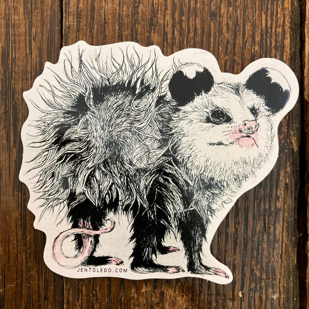 Opossum - Sticker