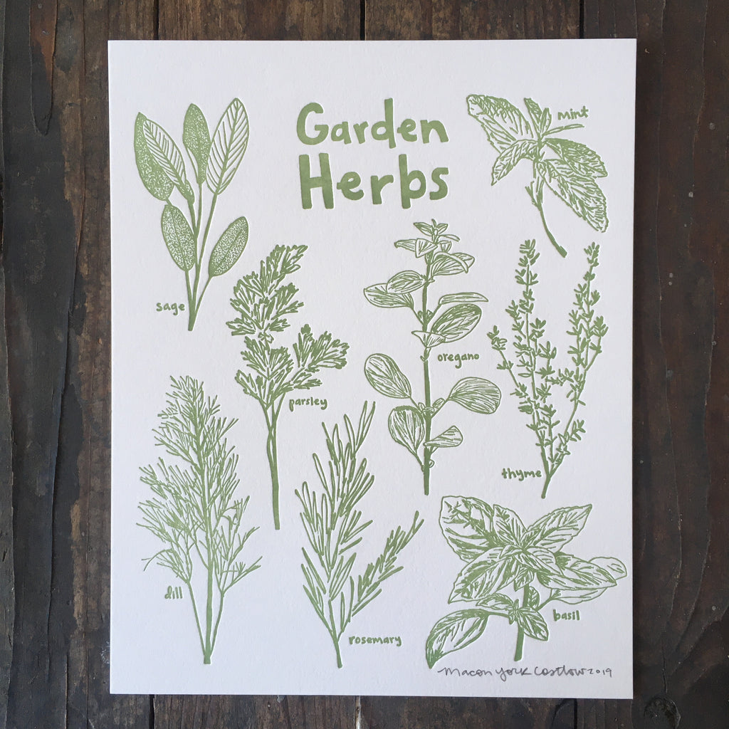 Garden Herbs - Print