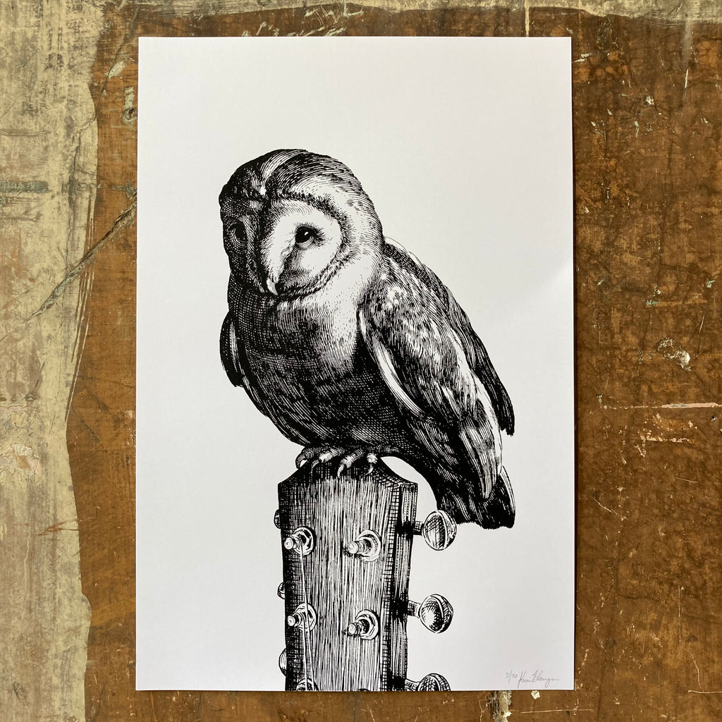 Owl - Print