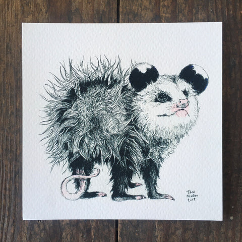 Opossum - Print