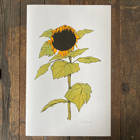 Sunflower - Print