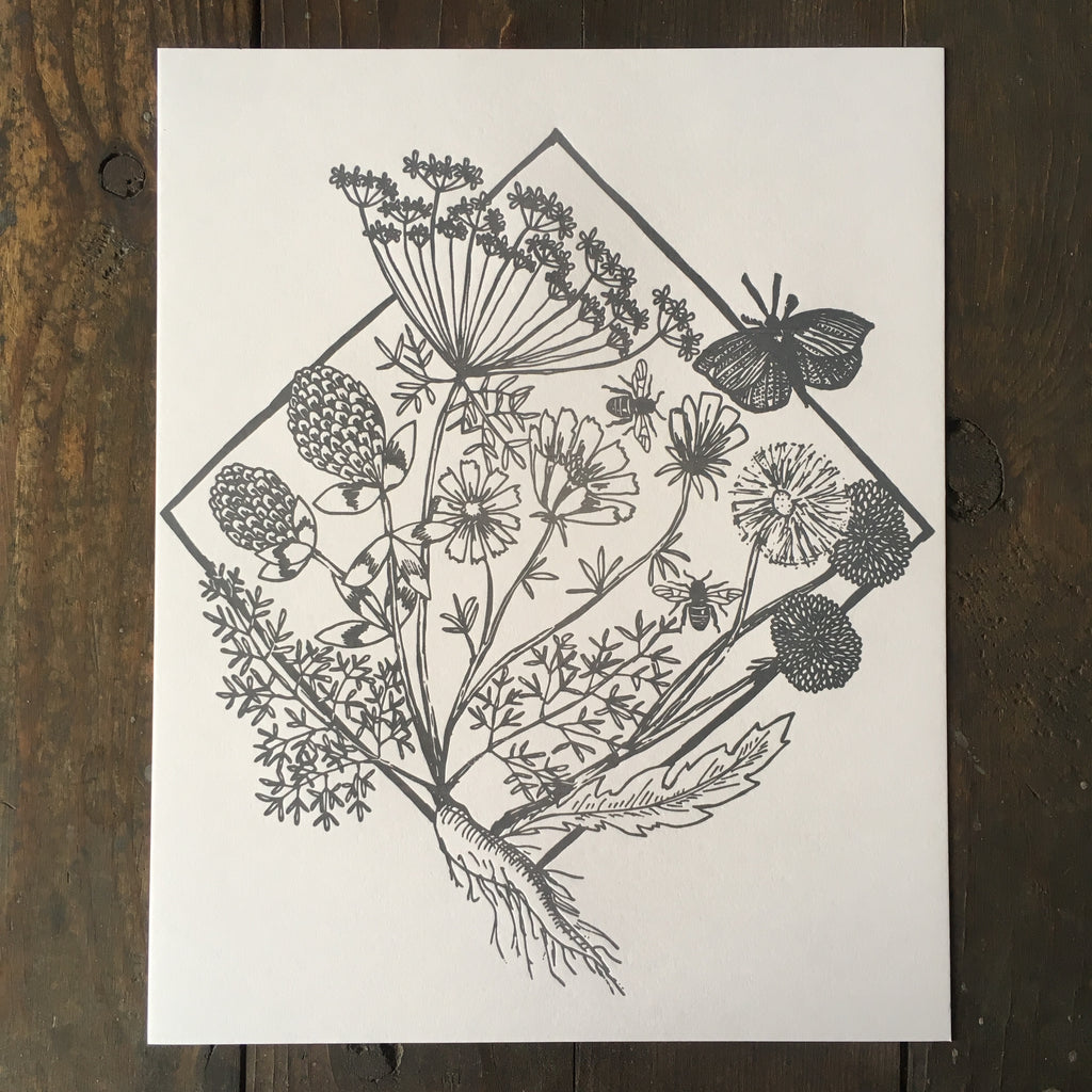 Medicinal Plants - Print